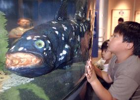 Robot fish 'Coelacanth' on display in Yokohama